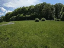 Prodej lesa, Vsetín, Semetín, 96946 m2