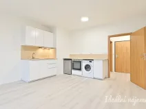 Pronájem bytu 1+kk, Brno, Dornych, 30 m2