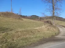 Dražba louky, Úštěk, 4600 m2