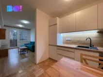 Pronájem bytu 2+1, Všemina, 42 m2