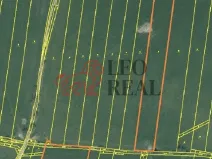 Prodej pole, Vstiš, 76424 m2