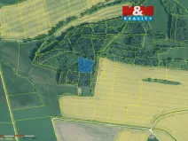 Prodej lesa, Třešovice, 4545 m2