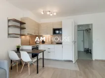 Pronájem bytu 1+kk, Praha - Žižkov, Olgy Havlové, 38 m2