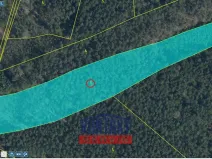 Prodej lesa, Bítouchov, 100105 m2