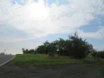 Dražba zahrady, Ploskovice, 23378 m2