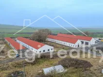 Pronájem výrobních prostor, Milotice, 1100 m2