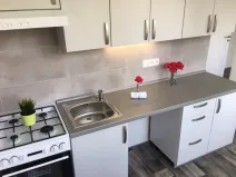 Pronájem bytu 2+1, Ostrava - Hrabůvka, Josefa Kotase, 50 m2