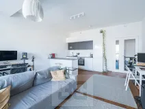 Prodej bytu 2+kk, Praha - Holešovice, Jankovcova, 63 m2