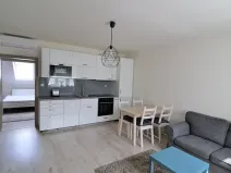 Pronájem bytu 2+kk, Brno, Čejkova, 49 m2