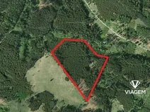 Prodej podílu lesa, Všechovice, 23376 m2