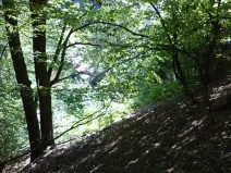 Dražba louky, Děčín, 675 m2