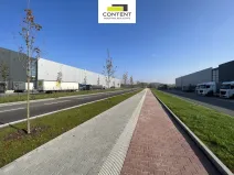 Pronájem skladu, Ostrava - Hrušov, Žižkova, 12400 m2