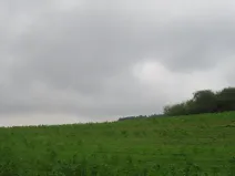 Dražba pole, Týn nad Vltavou, 26214 m2