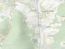 Dražba lesa, Spešov, 500 m2