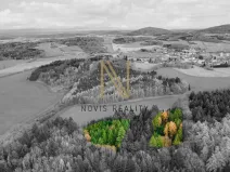 Prodej lesa, Chudenice, 7475 m2