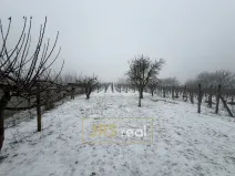 Prodej pozemku, Valtice - Úvaly, 1266 m2