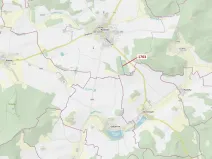 Dražba lesa, Koloveč, 7329 m2