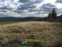 Prodej pozemku pro bydlení, Hvozdnice, 5887 m2