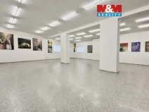 Pronájem obchodního prostoru, Louny, Říční, 216 m2