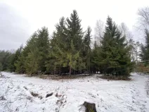 Prodej lesa, Veliny, 4431 m2