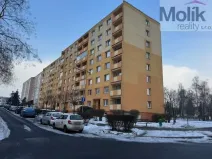 Pronájem bytu 1+1, Duchcov, Osecká, 39 m2