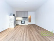 Pronájem bytu 1+kk, Praha, Danielova, 34 m2