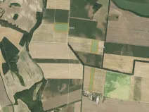 Prodej pole, Hrušovany nad Jevišovkou, 90356 m2