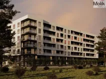 Prodej bytu 1+kk, Golem, 47 m2