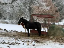 Prodej rodinného domu, Frymburk, 1140 m2