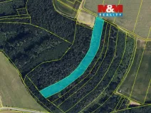 Prodej lesa, Olbramice, 12592 m2