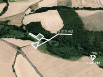 Prodej pole, Holasovice, 5314 m2