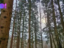 Prodej pozemku, Liptál, 17190 m2