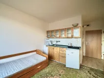 Pronájem bytu 1+kk, Říčany, U Olivovny, 20 m2