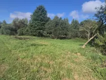 Prodej pozemku pro bydlení, Jestřebí, 1898 m2