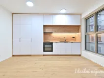 Pronájem bytu 1+kk, Brno, Bratislavská, 29 m2