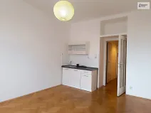 Pronájem bytu 1+kk, Praha - Vinohrady, Hradešínská, 32 m2