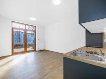 Pronájem bytu 1+kk, Zruč-Senec - Zruč, Sportovní, 42 m2