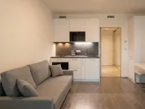 Prodej bytu 1+kk, Praha - Libeň, Kurta Konráda, 33 m2