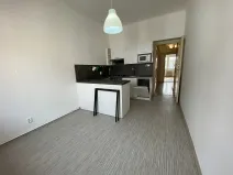 Pronájem bytu 1+1, Plzeň, Alešova, 50 m2