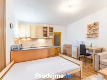 Pronájem bytu 1+kk, Dobšice, V Zahradách, 29 m2