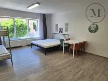 Pronájem bytu 1+kk, České Budějovice, Skuherského, 45 m2