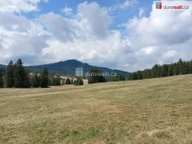 Prodej louky, Horská Kvilda, 1321 m2