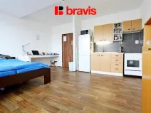 Pronájem bytu 1+kk, Brno, Oblá, 33 m2