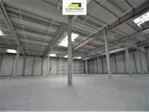 Pronájem skladu, Karviná - Staré Město, Dětmarovická, 10446 m2