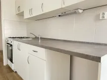 Pronájem bytu 2+1, Litvínov, Školní, 65 m2