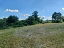 Dražba pozemku, Česká Lípa, 10090 m2