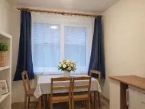 Pronájem bytu 1+kk, Brno, Francouzská, 25 m2