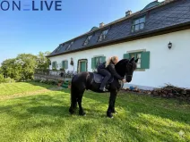 Prodej rodinného domu, Rozvadov - Svatá Kateřina, 650 m2