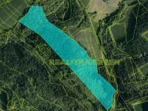 Prodej lesa, Všemina, 68618 m2