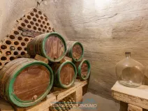 Prodej vinného sklepa, Dobšice, Leska, 25 m2